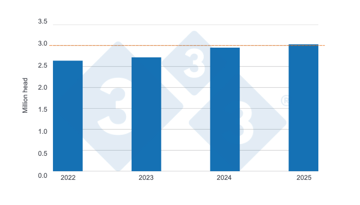 Colombian pig slaughter in the first half of the last four years. Prepared by 333 Latin America using data from DANE.