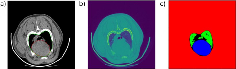 Figure 6. CT images showing cardiac volume and profile (a,b) and automatic differentiation of different tissue types (c).

