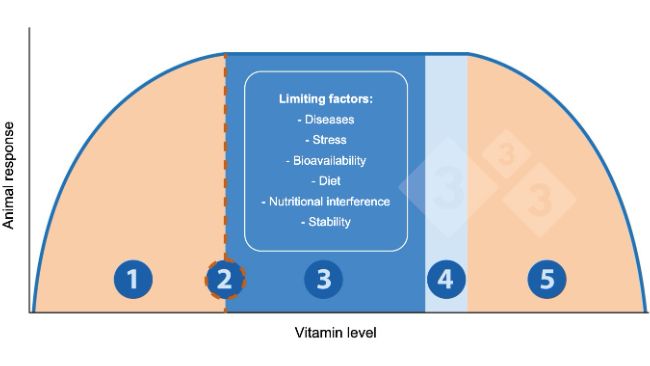 Figure 1. Relationship between vitamin levels and animal response.

