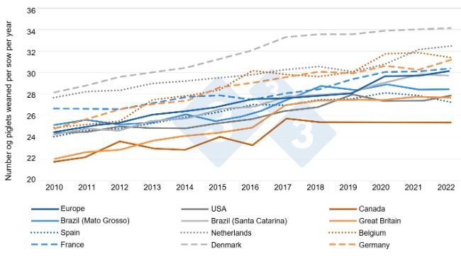 Figure 1. Evolution of prolificacy in different countries from 2010 to 2022. (Sanz-Fernández et al., 2024). Based on InterPIG data (www.interpig.org)