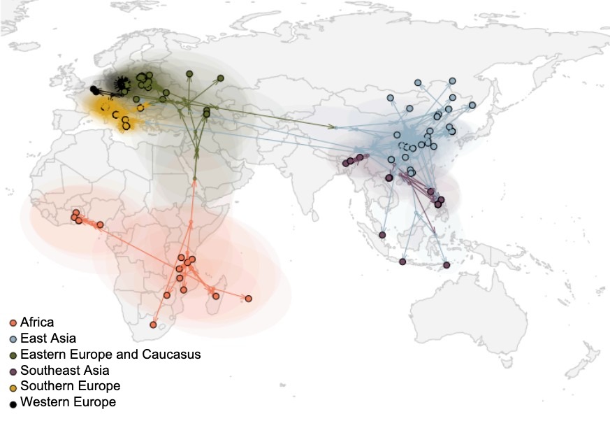 <p>Figure 2. Global spread of the ASF virus (Rossi et al. bioRxiv 2025).</p>
