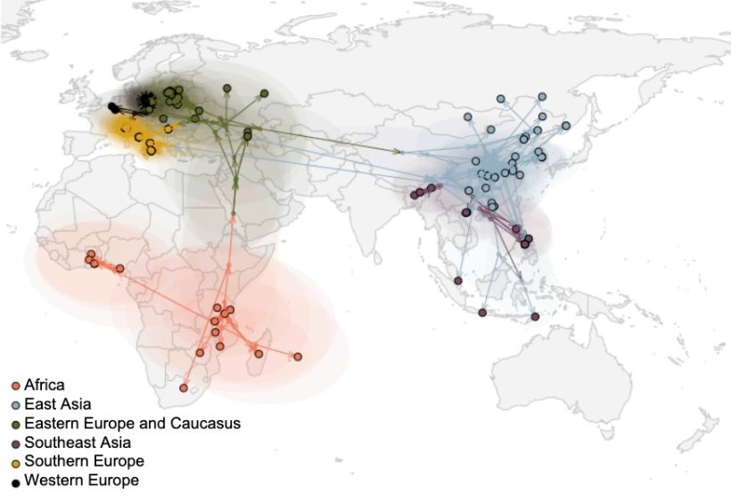 Figure 2. Global spread of the ASF virus (Rossi et al. bioRxiv 2025).
