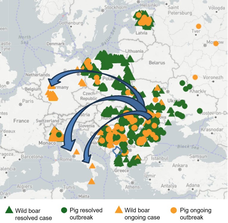 Figure 1. Probable route of the ASF virus to clusters in Lazio, Campania, and North Rhine-Westphalia.
