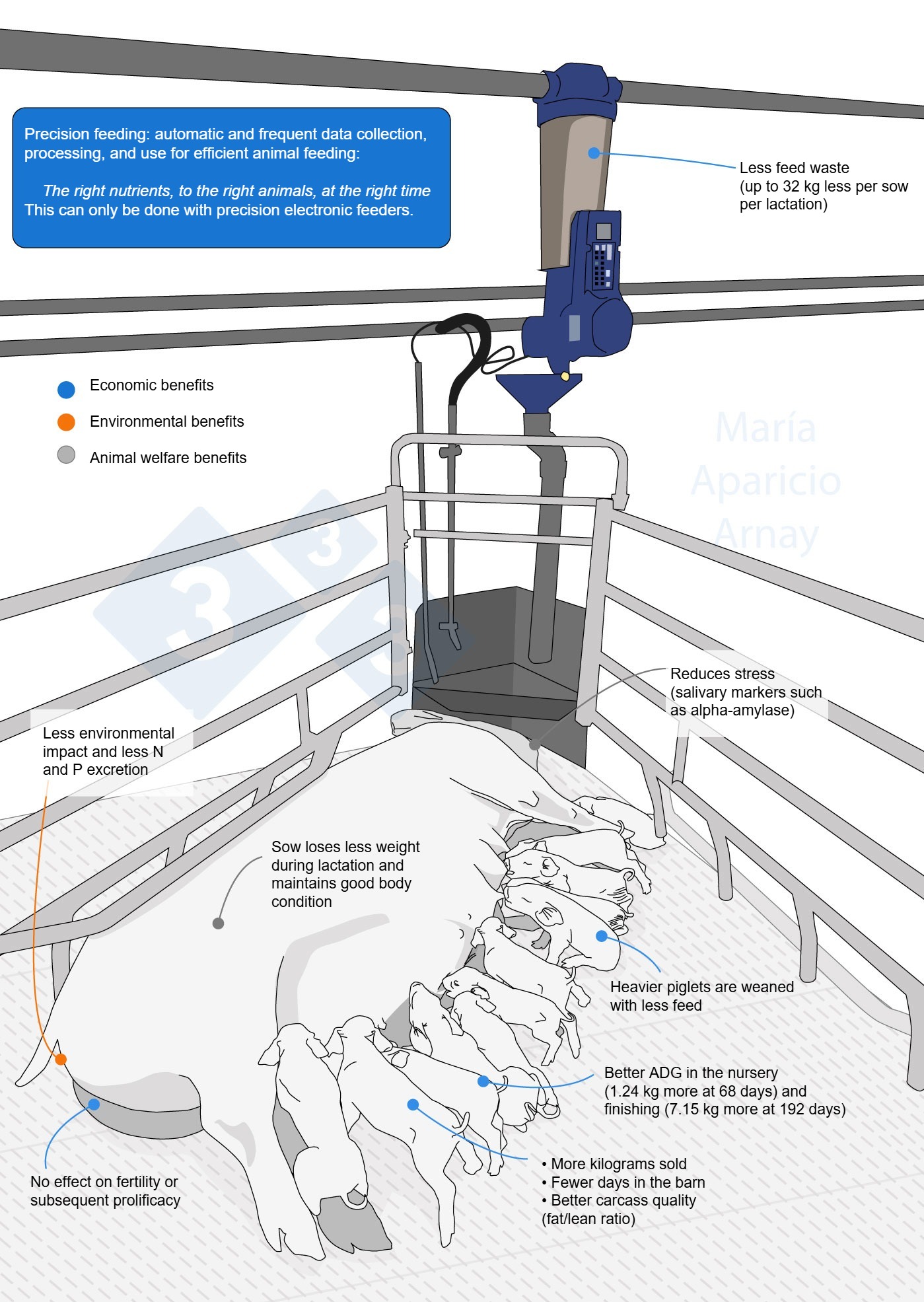Benefits of electronic feeding of sows