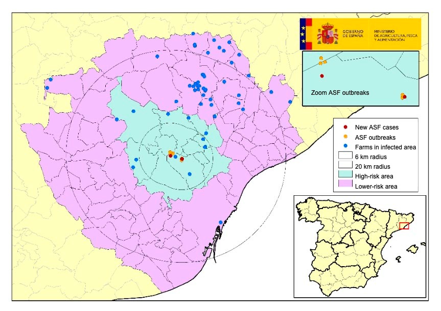 <p>Location of the seven outbreaks in wild boars and pig farms located within the infected area, with municipalities in high-risk and lower-risk areas. (Source: MAPA).</p>
