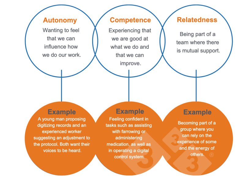 Figure 1. Universal needs we share (Deci &amp; Ryan, 2000).
