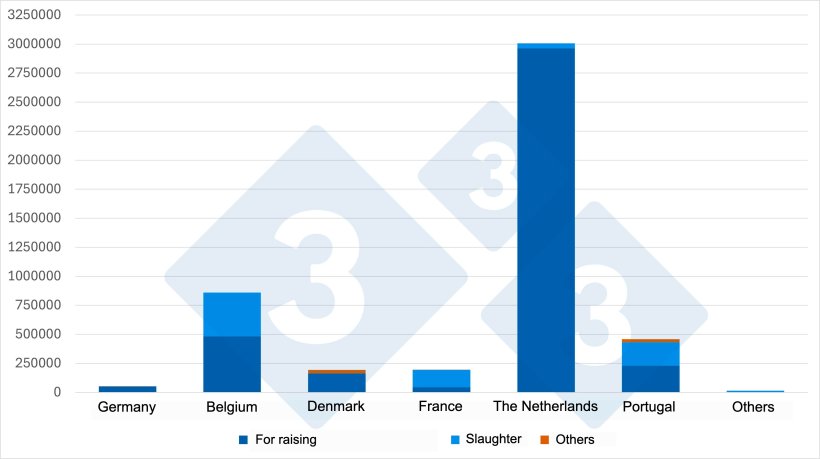 Graph 2. Suppliers of live pigs to Spain by animal category (2025). Source: 333 based on MAPA data.
