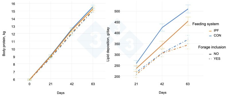 Figure 2. Body protein content and lipid deposition according to the inclusion of Phleum pratense (forage inclusion, NO, YES = gradual inclusion 8-22%) and feeding system (CON = group phase feeding, IPF = individual precision feeding) over a 63-day experimental period, divided into three 21-day phases.
