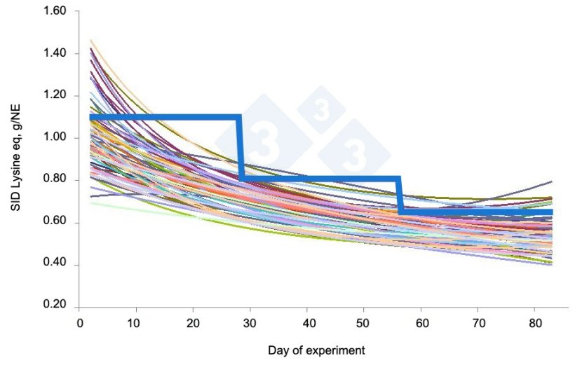 Figure 1. Estimated requirements for standardized digestible ileal lysine for individual pigs (colored lines) and minimum levels of standardized digestible ileal lysine provided to pigs fed in a conventional 3-phase group feeding system (thick blue line) without affecting body weight gain, according to Hauschild et al., 2012.
