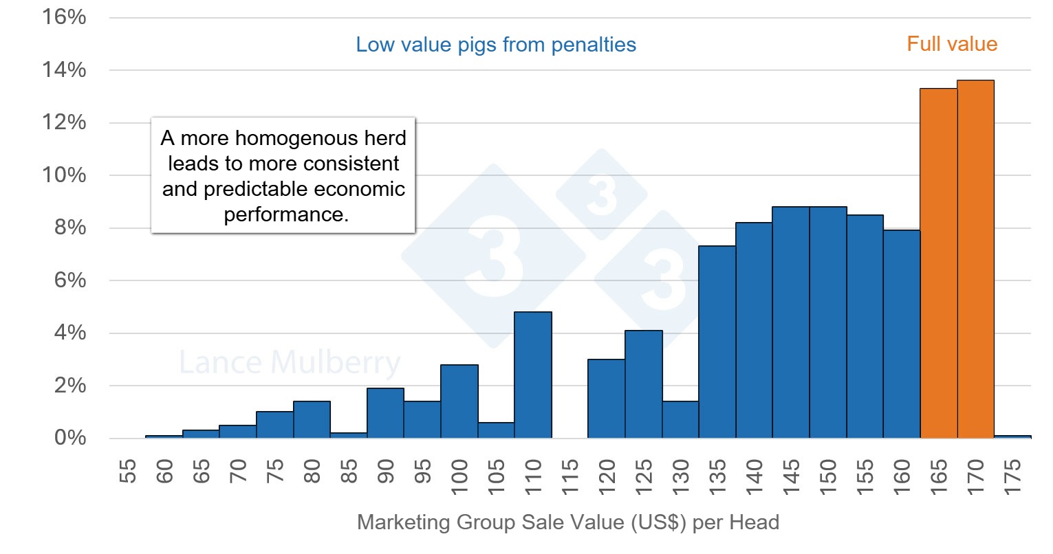 Figure 4: Reducing the number of slow growing pigs not only reduces potential penalties but also reduces cost due to less time occupying barn space, less labor hours per pig, and inefficient feed conversion.