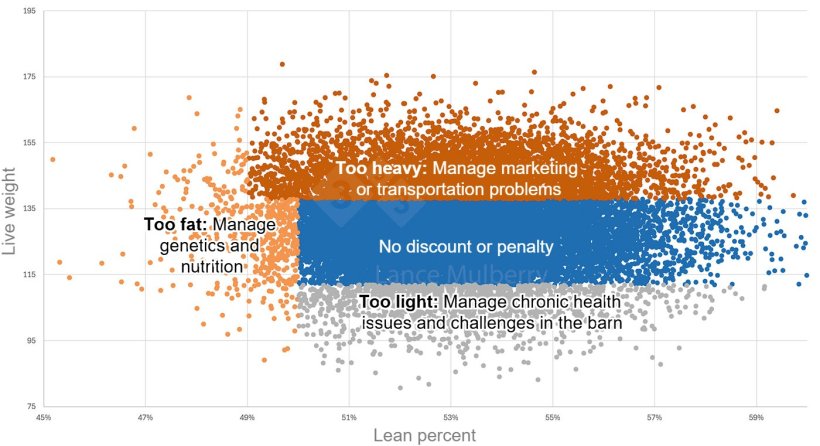 Figure 1: Slaughter data paired with other data such as nutrition, health status, breeding herd, etc, can help identify causes of variation as well as actionable steps to resolve them.