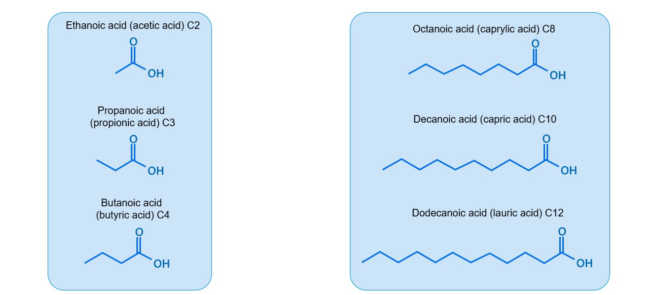 <p>Figure 1. Structure of the SCFAs and MCFAs most commonly used in swine nutrition.</p>
