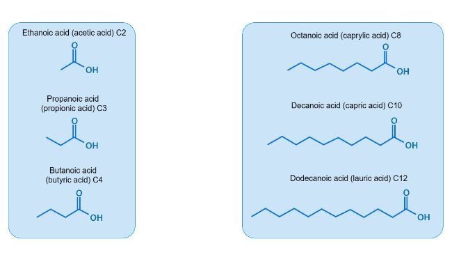 Figure 1. Structure of the SCFAs and MCFAs most commonly used in swine nutrition.