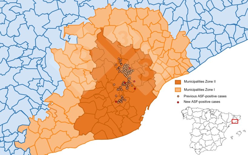 Location of the 40 outbreaks in wild boars and of captured or found-dead wild boars or testing negative in restricted zone II (Fuente: MAPA).
