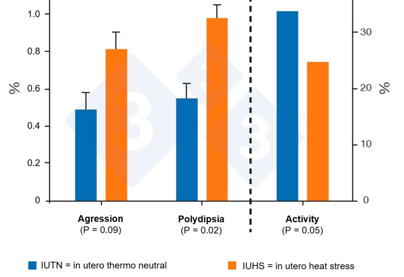 Figure 4. IUHS pigs are more aggressive and less active. Source: Byrd et al., 2019.