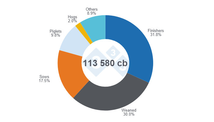 Graph 1:&nbsp;Distribution of the swine inventory in Uruguay in 2024. Graph by the Department of Economics and Sustainability, Pig333 Latin America with data from the Ministry of Livestock, Agriculture and Fisheries of Uruguay.
