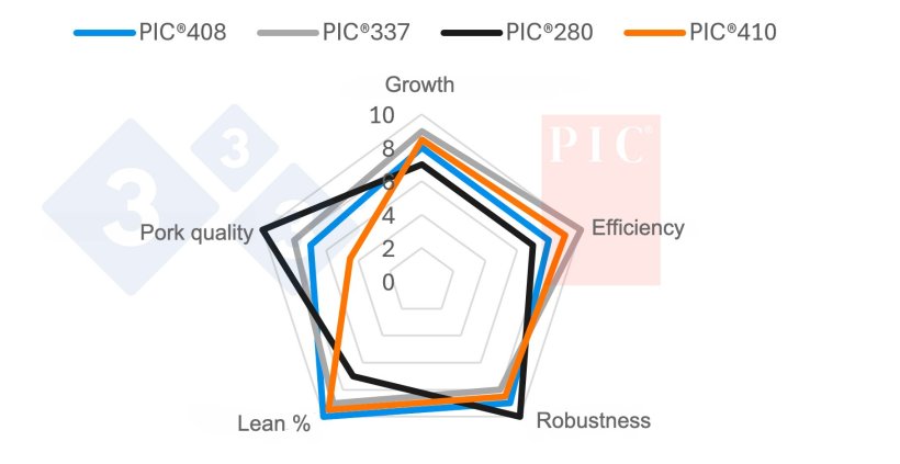 Figure 1. Diagram of the positioning of PIC® boars.