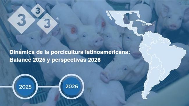 Trends in Latin American swine production: 2025 overview and 2026 outlook