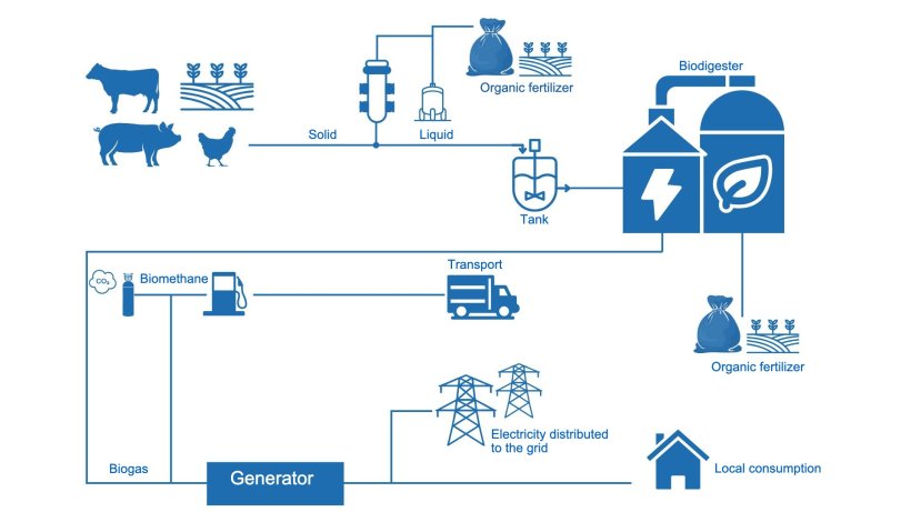 Process of generating biogas, organic fertilizer, and energy from manure.