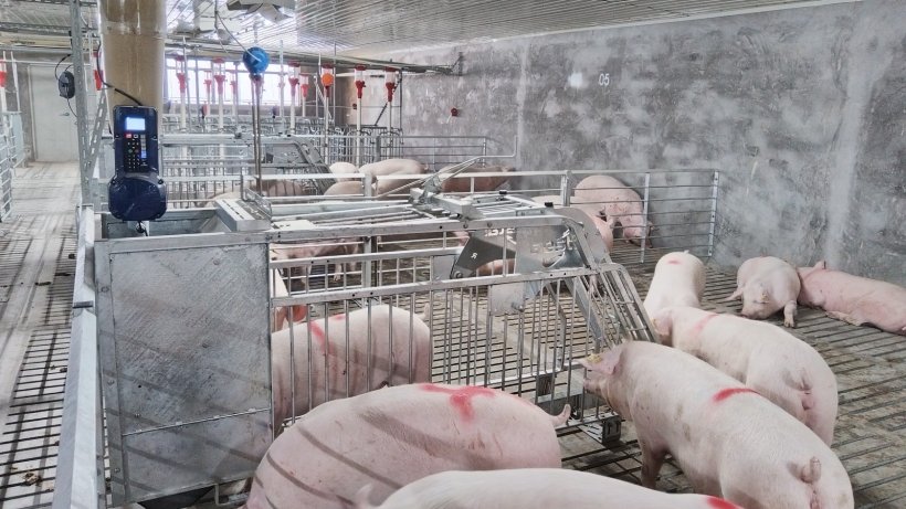Gestal Select feeding system.
