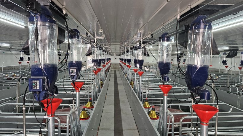 Gestal Focus feeding system.
