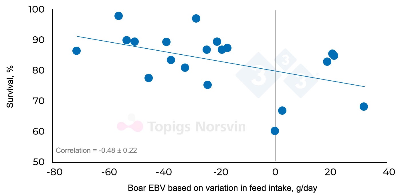 <p>Figure&nbsp;3. Relationship between estimated breeding values (EBVs) for variation in daily feed intake among different boars (n = 20) and the survival of their progeny (n = 1,356 pigs) in a challenge trial involving multiple pathogens, including PRRS.</p>
