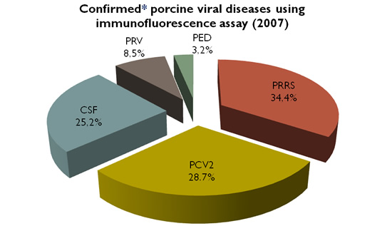 Confirmed porcine viral diseases using inmunofluorescence assay (2007)
