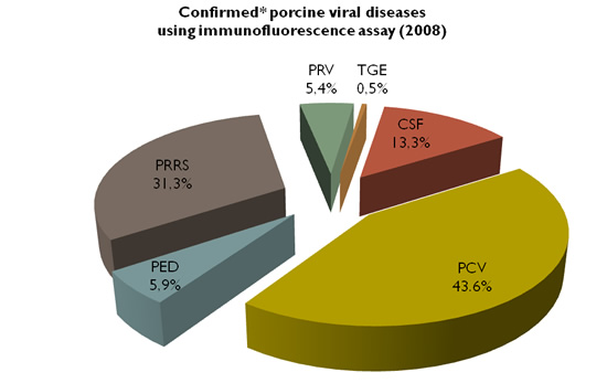 Confirmed porcine viral diseases using inmunofluorescence assay (2008)
