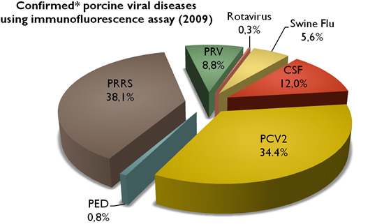 Confirmed porcine viral diseases using inmunofluorescence assay (2009)
