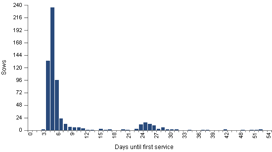 Long weaning to service interval with an elevated birth rate