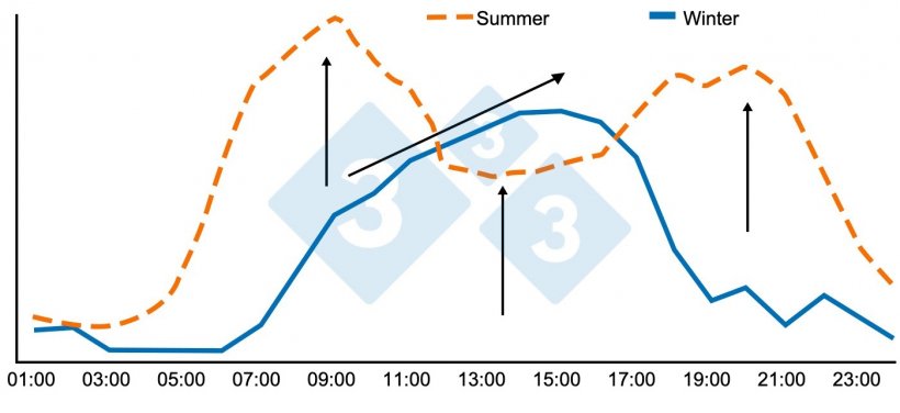Figure 4. Consumption patterns in fattening and weaning weights between 88-95 kg in summer and winter. Source: Brumm, M.C. 2006.
