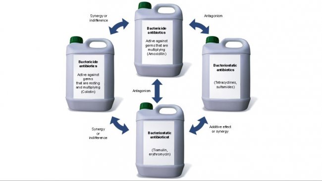 Synergic effect