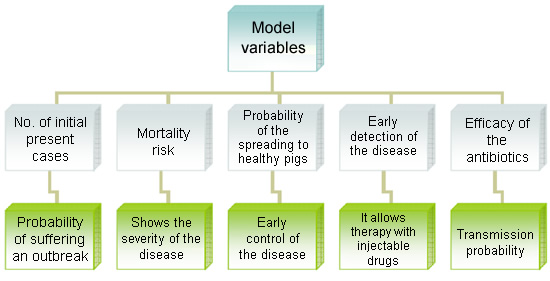 Model variables