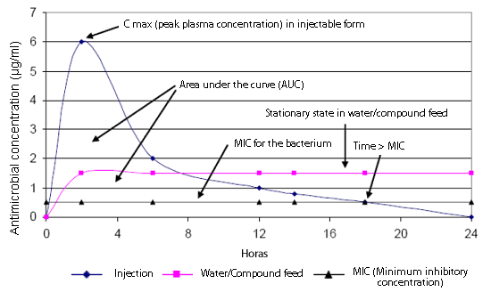 Pharmacokynetics of an antibiotic according to its administration (injection or oral through the water and the compound feed)