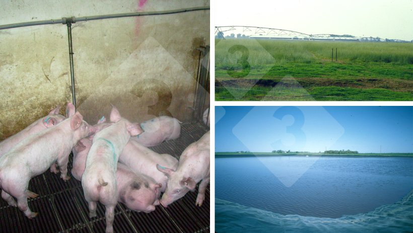 Figure 3.&nbsp;Improper handling of the drinkers negatively impacts operating costs and the environment.
