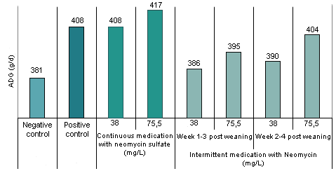 Effect of intermittent water medication on growth