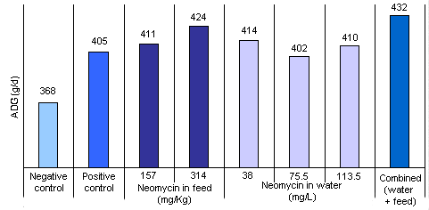 Effect of medicating water and feed on growth