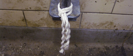 Cotton rope for sampling