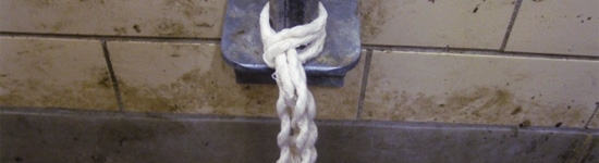 Cuerda de algod&oacute;n para toma de muestras