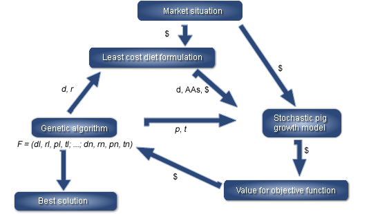 Overview of the simulation program linking a linear program for least-cost diet  formulation, a stochastic pig growth model and a genetic algorithm (GA) to findthe best feeding strategy (F) for a given objective function in a specific market situation