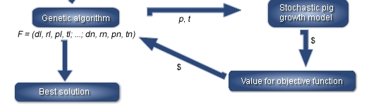 Overview of the simulation program linking a linear program for least-cost diet  formulation, a stochastic pig growth model and a genetic algorithm (GA) to findthe best feeding strategy (F) for a given objective function in a specific market situation