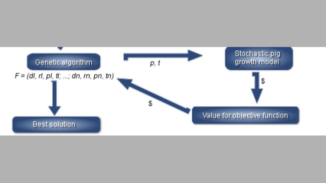 Overview of the simulation program linking a linear program for least-cost diet  formulation, a stochastic pig growth model and a genetic algorithm (GA) to findthe best feeding strategy (F) for a given objective function in a specific market situation