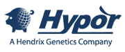 Hypor 