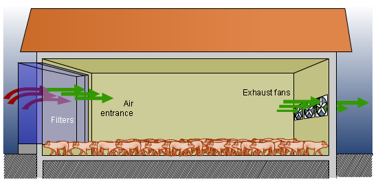 Negative pressure tunnel ventilation. Summer ventilation