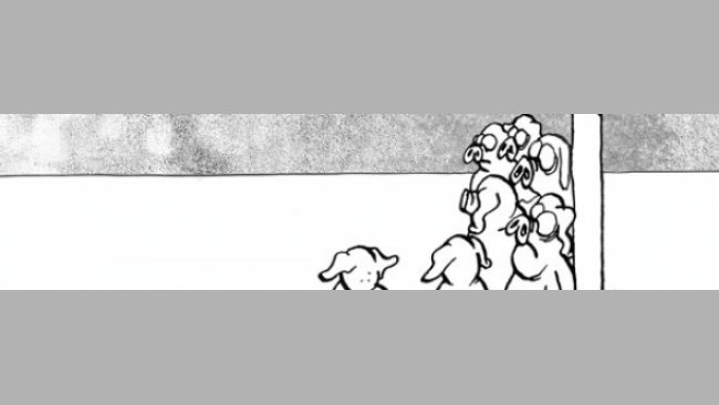 Lechones espabilados