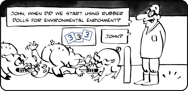 Environmental enrichment