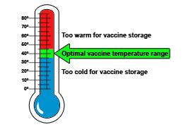 Extreme temperature changes, both cold and hot, are harmful to vaccines.