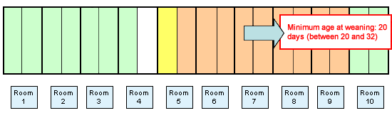 Batch 4 (gray) just filled the remainder of room 4, the entire room 5, 6, 7 and 8.