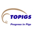 Topigs