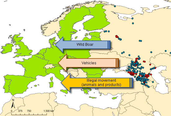 Current status of PPA in countries of the Caucasus and the Russian Federation. Representation of outbreaks from 2007 to January 2012 in domestic pigs (blue) and boar (red), accompanied by the main risk factors for EU countries (green). Source: WAHID 2012, auto elaboration.